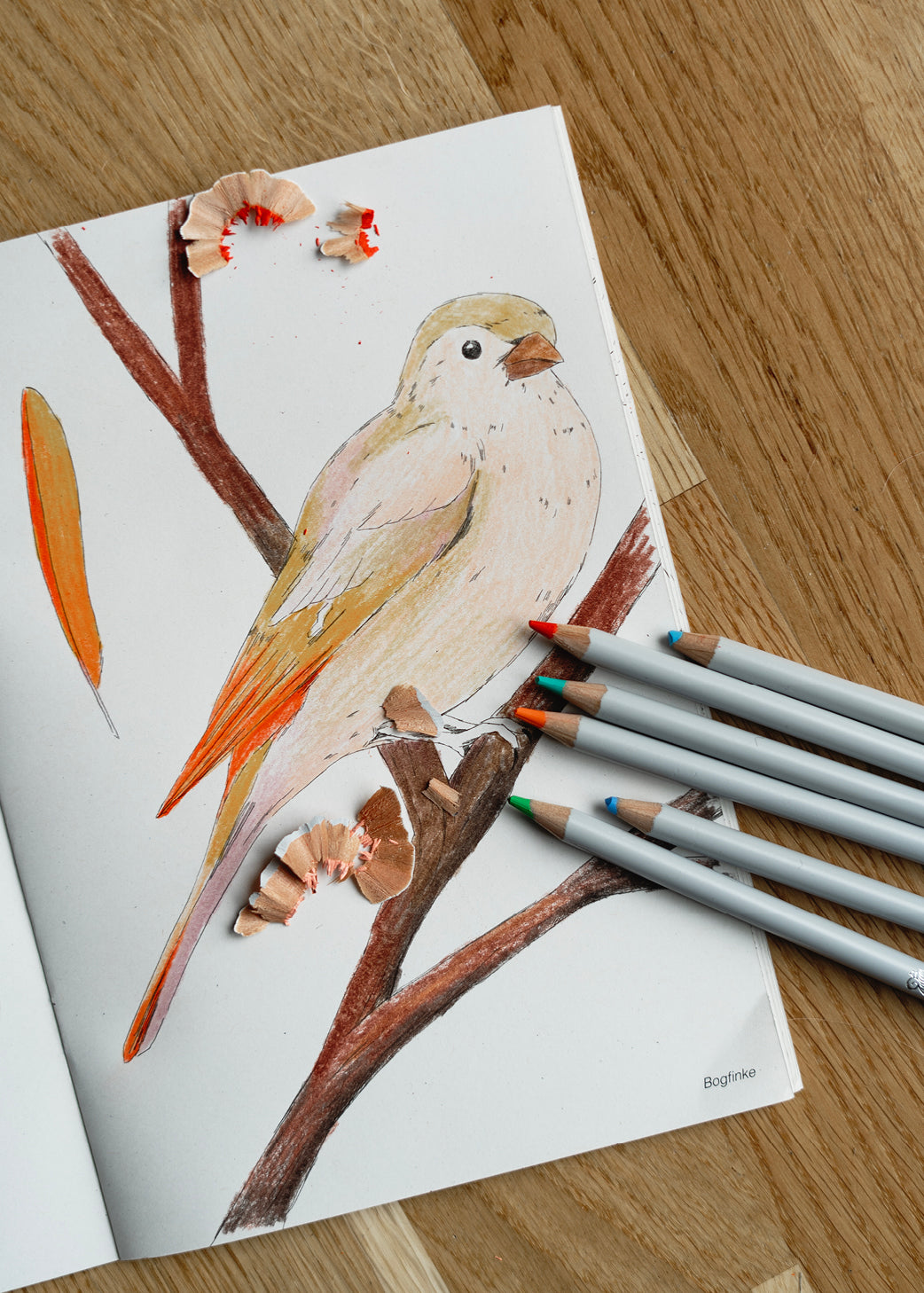 Hverdagsvenner Malebog, 24 sider —  100% genbrugspapir