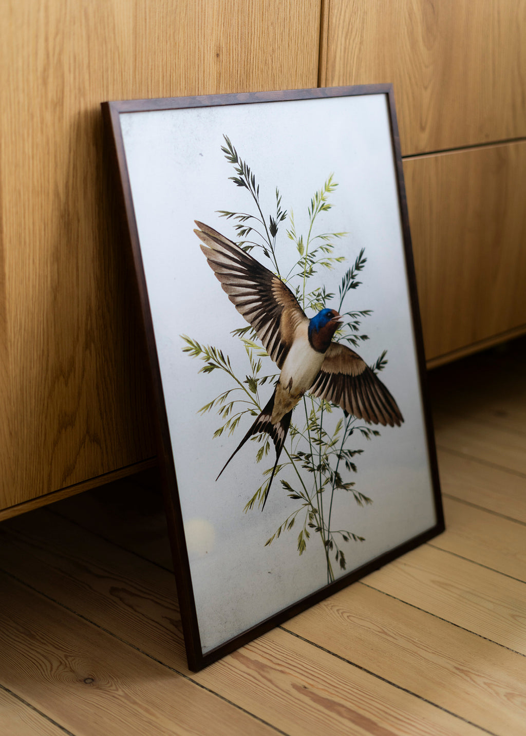 Svale — 40x50