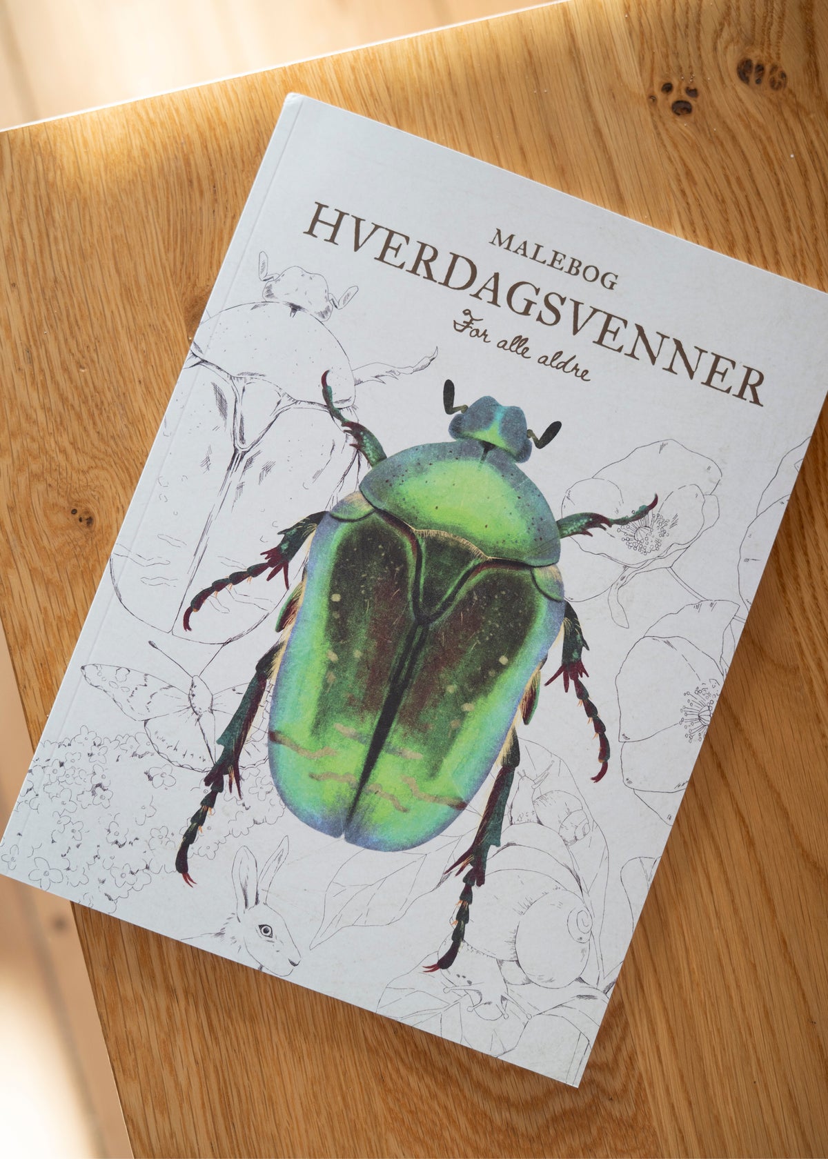 Hverdagsvenner - Stor malebog for alle aldre