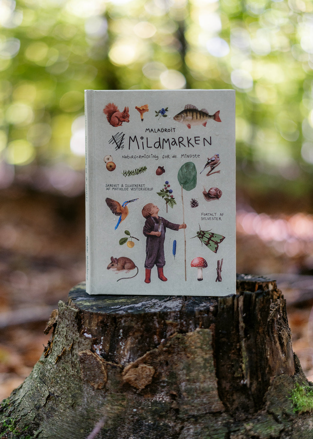 Bestsellers Bogpakken