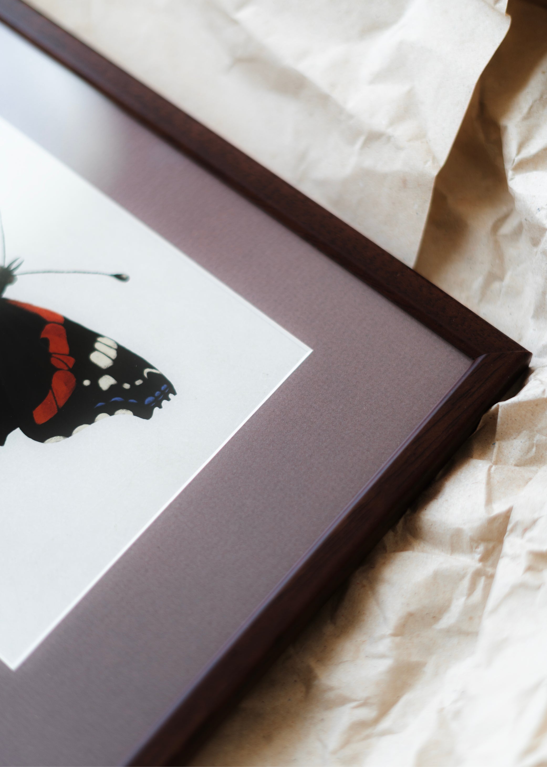 Admiral — Indrammet