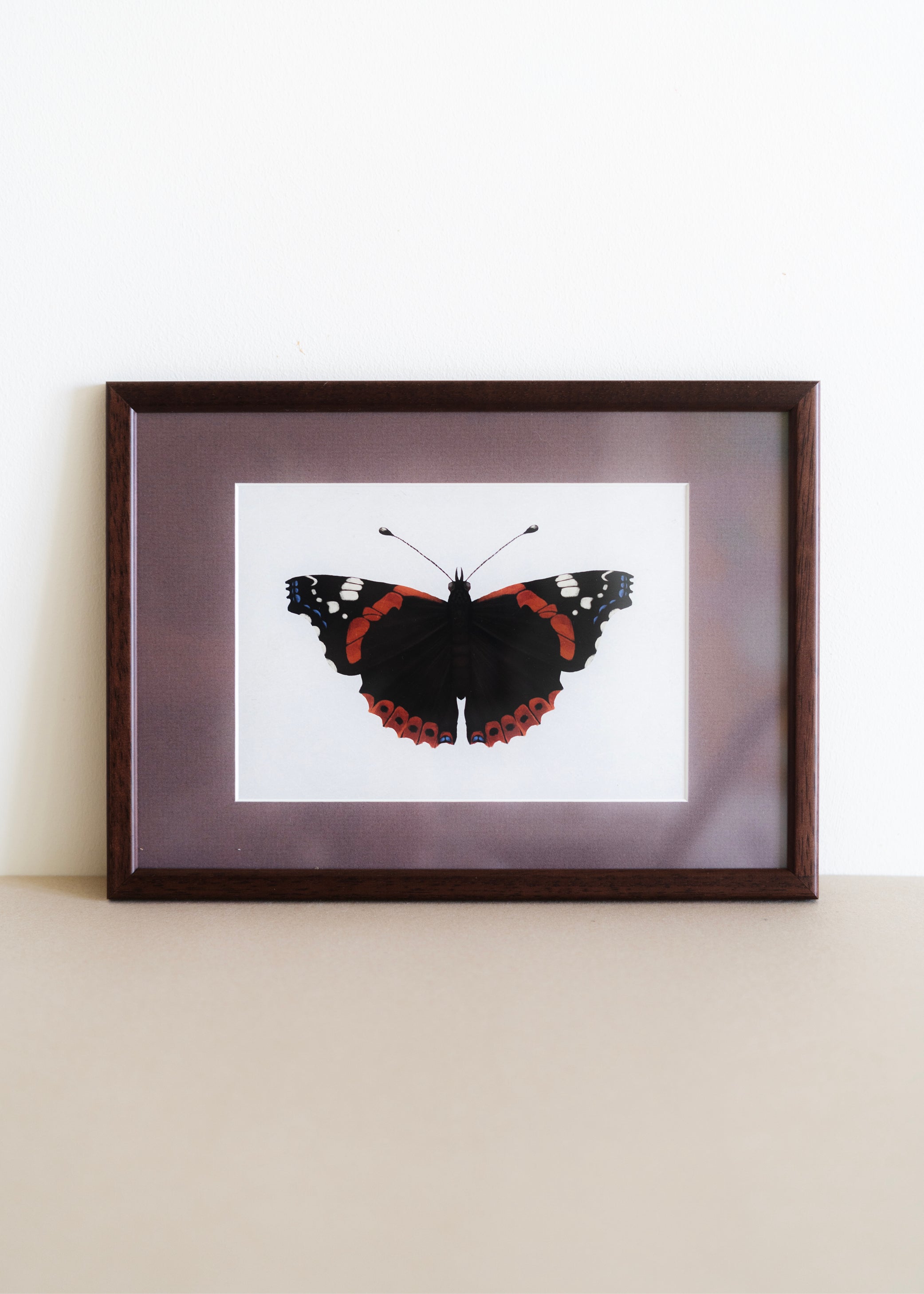 Admiral — Indrammet