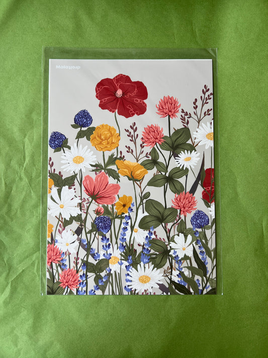 Vilde Blomster — A4